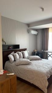 Central Apartment Shkoder