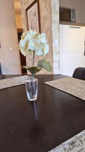 Apartament 12 Polanica Zdrój - Marel