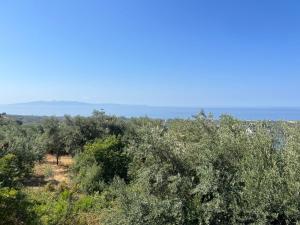 Matis Guesthouse