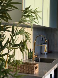 Seasera Home 3BR Beachside