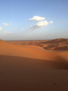 Moha Desert Camp