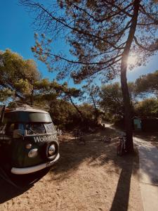 Belmare Camping Village