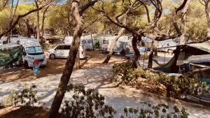 Belmare Camping Village