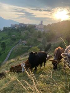BORGO DI LIVEMMO Albergo Diffuso