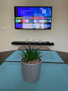 Tirana Cozy Stay