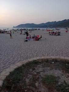 Pavoncella di S Cali