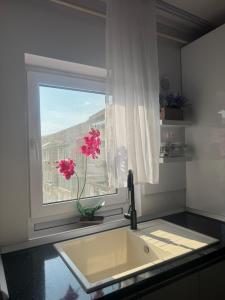 B&B Apartment