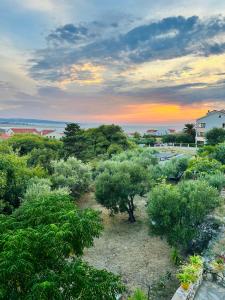 Villa Roseal
