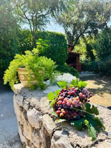 Villa Roseal