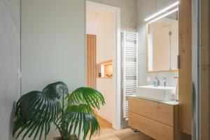 Atrium - Modern Apartment, Terme 3000 & Vivat