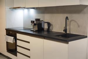 Apartment Brno-Lesná
