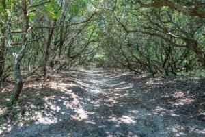 Carolina Breeze - Southern Shores, Chickahauk, 200 Yards to the Beach, Flex Stays, Private Decks