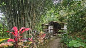 Cielo Verde Lodge & Spa
