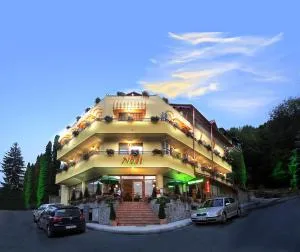 Pensiunea Noel - 百乐·奥拉内斯蒂