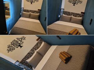 Rooms del Bosque Studios