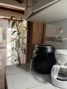 Casa Libelula