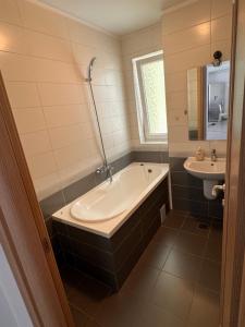 SLV Apartment Coresi