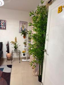 Modern 3BR Oasis, Pool, 8 Min to Beach, WiFi