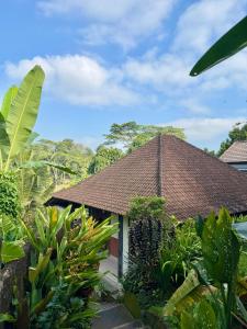 Widis House with Ubud Jungle Lush View