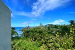 Oceanfront 4BR, 2 Condos for 12 in Hilo, Hawaii!