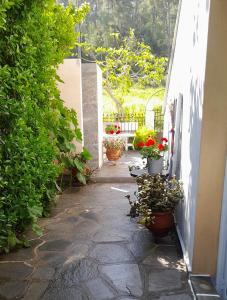 Little Paradise in Siviri