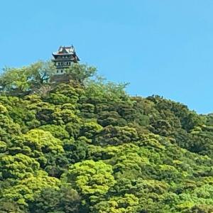 洲本家　SUMOTOYA