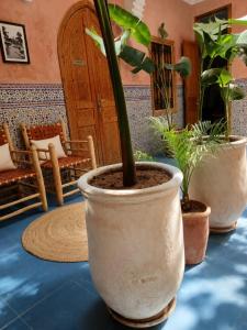 Riad Flottement Des Songes