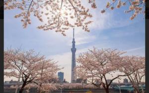 Qy33 JR駅徒歩 から5分