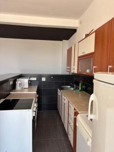 Centar Park Apartment
