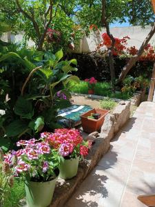 Domo Janas Affittacamere Guesthouse