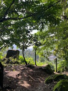 The Wild Ascent Private Stay Near Munnar