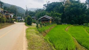 Peado Homestay