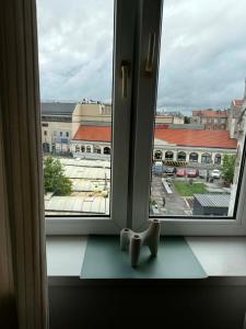Apartament Nowy Rynek 10