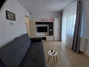 Apartament 1 camera , Garsoniera
