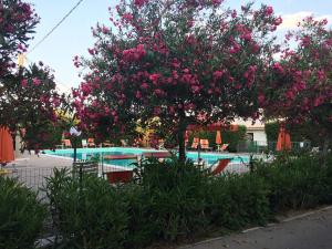 Chalet della Spiaggia