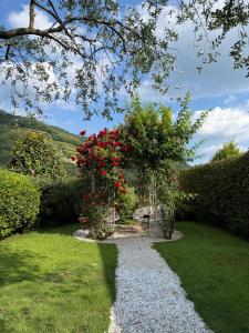 Bed and Breakfast Casa del Nonno