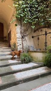 Bed and Breakfast Casa del Nonno