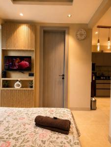 Best Studio apartment For Couple and Family