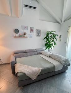 La Casa Piculina, bilocale in centro storico