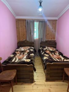 Family hotel Dadiashi