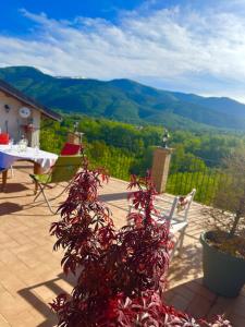 Terrazza sulle vette