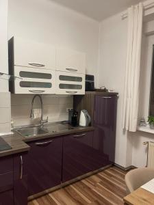 neat and comfortable luxury apartment Maribor