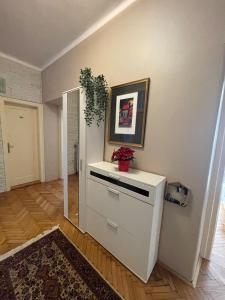 neat and comfortable luxury apartment Maribor