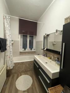 neat and comfortable luxury apartment Maribor