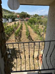 La Segreta