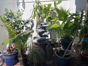 Charming 1 bedroom apt 1 block to beach & town