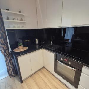 Komfortowy Apartament z Dwiema Sypialniami