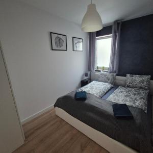 Komfortowy Apartament z Dwiema Sypialniami