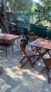 Ailemizin tatil evi