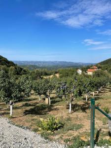Brvnara Mia